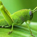 สมาชิกหมายเลข 2226922