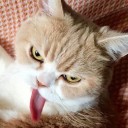 สมาชิกหมายเลข 3042694