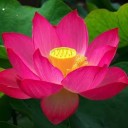 สมาชิกหมายเลข 3500634