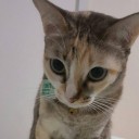 สมาชิกหมายเลข 3500702