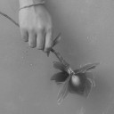 สมาชิกหมายเลข 1767691