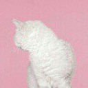 สมาชิกหมายเลข 2239335