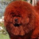 สมาชิกหมายเลข 2239819