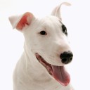 สมาชิกหมายเลข 2240073