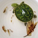 สมาชิกหมายเลข 1831341