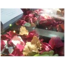 สมาชิกหมายเลข 2228027