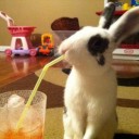 สมาชิกหมายเลข 1000220