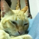 ธรรมดา-เวทนา