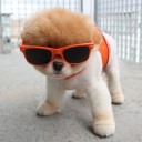 สมาชิกหมายเลข 1001695