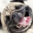 สมาชิกหมายเลข 893000