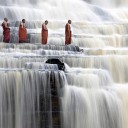 สมาชิกหมายเลข 2241411