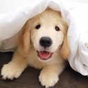 สมาชิกหมายเลข 3501794