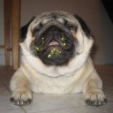 สมาชิกหมายเลข 1000291