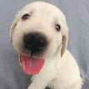 สมาชิกหมายเลข 1000358