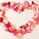 สมาชิกหมายเลข 993494