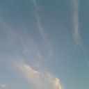 สมาชิกหมายเลข 1833017