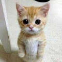 สมาชิกหมายเลข 1118102