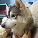 สมาชิกหมายเลข 1002775