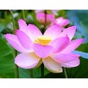 สมาชิกหมายเลข 877808