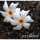 สมาชิกหมายเลข 984056