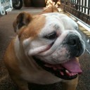 สมาชิกหมายเลข 1002300