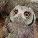 สมาชิกหมายเลข 790190