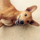 สมาชิกหมายเลข 1196116