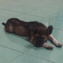 สมาชิกหมายเลข 3020349