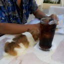 สมาชิกหมายเลข 1421033