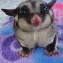 สมาชิกหมายเลข 1003682