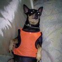 สมาชิกหมายเลข 1003919