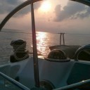 มดน้อยในเมืองหลวง