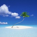 ตอนที่โนอาสร้างเรือฝนยังไม่ตก