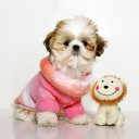 สมาชิกหมายเลข 1777947