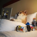 สมาชิกหมายเลข 3044097