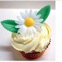 daisy cupcake