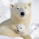 สมาชิกหมายเลข 871757