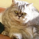 สมาชิกหมายเลข 3504957