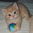 สมาชิกหมายเลข 1004574