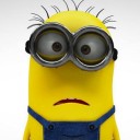 ควายน้อย