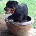 สมาชิกหมายเลข 2635902