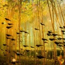 สมาชิกหมายเลข 3046554