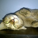 สมาชิกหมายเลข 1004958