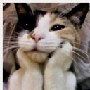 สมาชิกหมายเลข 1015343