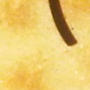 สมาชิกหมายเลข 901123