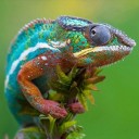 น่ารักทุกฤดูกาล