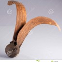 สมาชิกหมายเลข 2592712