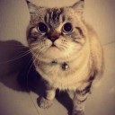 สมาชิกหมายเลข 1359444