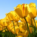 สมาชิกหมายเลข 3046921