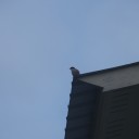 ซักผ้าคืนวันเสาร์